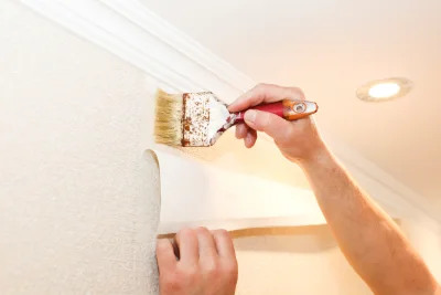 Pose de papier peint à Lapan — revêtements muraux et toiles de verre